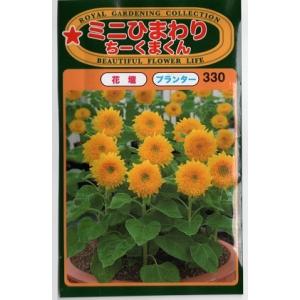 トーホク 花の種 ひまわり コンサートベル : イケダグリーンセンター