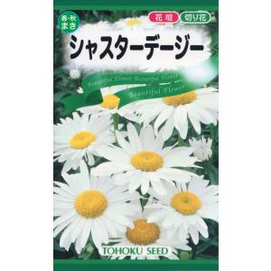 花の種 花種類 デージー 種 種子 花 ガーデニング 通販 Yahoo ショッピング