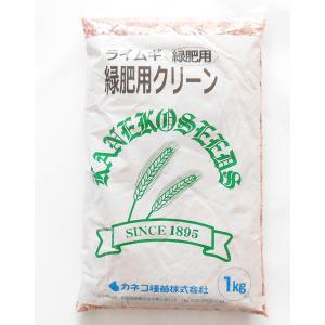 カネコ種苗 ライ麦 緑肥用クリーン 1kg