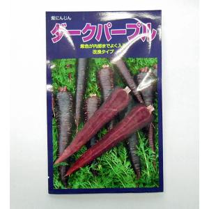 紫人参 種の商品一覧 通販 Yahoo ショッピング