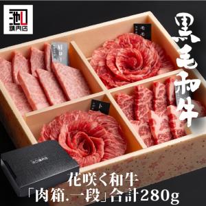 板藍茶 1箱(120包) 賞味期限2027年11月 板藍茶 ばんらんちゃ 120 包 賞味期限2026年5月 送料無料 健康