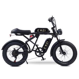 ☆新品☆RICH BIT リチウムイオンバッテリー 電動ハイブリッドバイク用×3 jpstars_richbitacc016