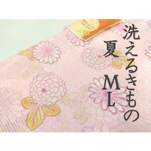洗える夏着物(絽・付け下げ訪問着) Lフリーサイズ 黒色地に花柄