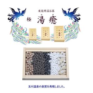 家庭用温浴器 極 湯癒 大サイズ : いきいきヘルスケア - 通販 - Yahoo