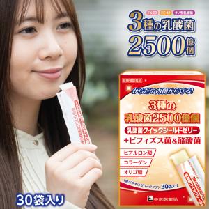 訳あり 賞味期限2026/12 乳酸菌 クイック...の商品画像
