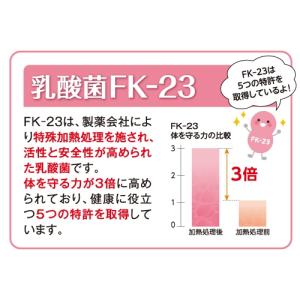 訳あり 賞味期限2026/12 乳酸菌 クイッ...の詳細画像5