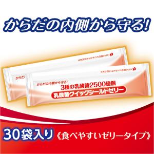 訳あり 賞味期限2026/12 乳酸菌 クイッ...の詳細画像4