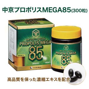 中京医薬品 イチョウ葉エキス ドリンク イチョウ葉US