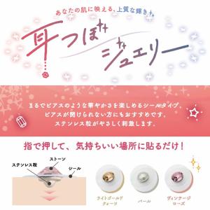 耳つぼジュエリー WARM2 / COOL2 ...の詳細画像5