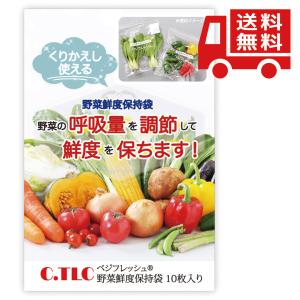 在庫限り Ｃ．ＴＬＣ 野菜鮮度保持袋 10枚入 野菜 果物 保存袋 新鮮 鮮度 長持ち 野菜保存用 エコ ポリ袋 繰り返し使える 野菜 保存袋 野菜保存用 鮮度保持 夏
