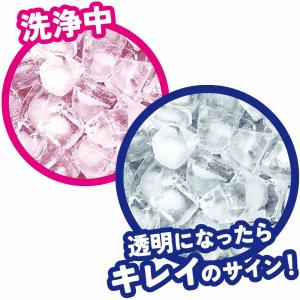 自動製氷機 洗浄剤 クエン酸 3回分 冷蔵庫 ...の詳細画像4