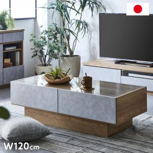 ライオン事務器 応接テーブル センターテーブル 収納棚付き ロー