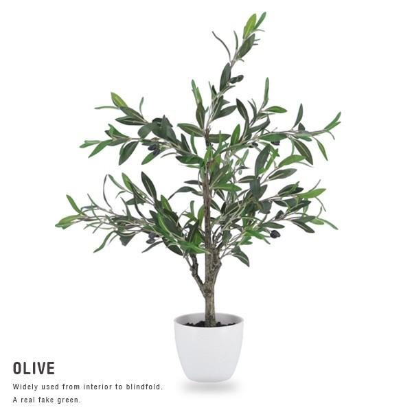 人工観葉植物 H82 OLIVE オリーブ