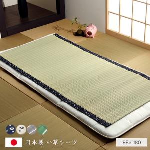 イグサ寝ござ（一畳） : 水の子ショップ - 通販 - Yahoo!ショッピング