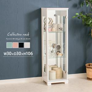 イケア（IKEA） RUDSTA/ルードスタ コレクションケース42x37x155 cm