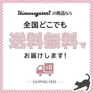 ゴーグル 保護メガネ 曇らない メガネ対応 防...の詳細画像5