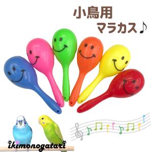 小鳥 インコ おもちゃ マラカス 2個セット バードトイ 鳥 玩具 鳥用品 鳥グッズ 遊び 楽しい カラフル かわいい