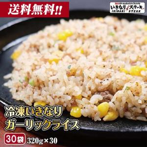 メガ盛り 冷凍 いきなり！ガーリックライス ビックサイズ320ｇ×30袋セット！冷凍