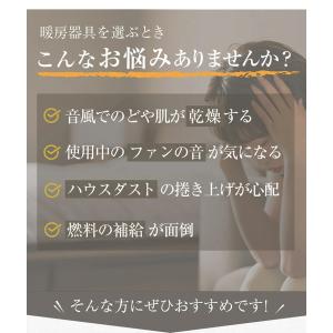 パネルヒーター 遠赤外線 サンルミエ サンルミ...の詳細画像2