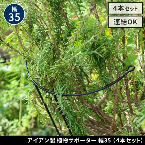 アイアン製植物サポーター 幅35 4本セット IF-N0048-4P奥行18 高さ65 倒れ防止 鉄...