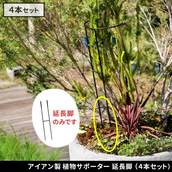 アイアン製植物サポーター 延長脚 4本セット IF-N0051-4P脚のみ 高さ47cm ハーフリン...