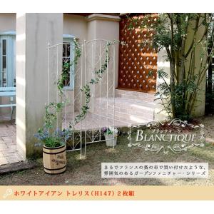 トレリス アンティーク調 ホワイト アイアントレリス 2枚組 ラティス