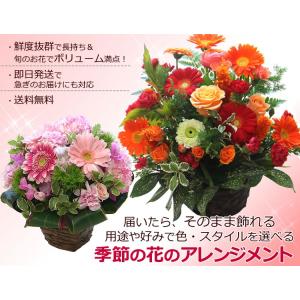 花 誕生日 お祝い ギフト おまかせアレンジ ...の詳細画像1
