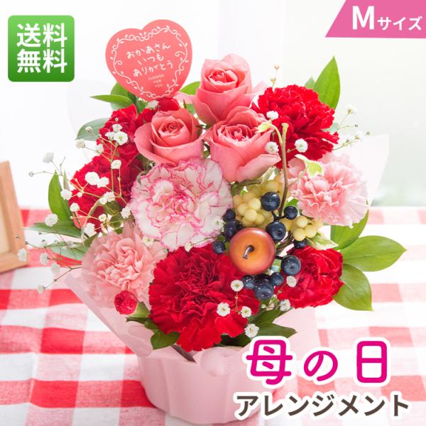 早割 母の日 2026 プレゼント 花 ギフト 母の日アレンジメント Mサイズ カーネーション カス...