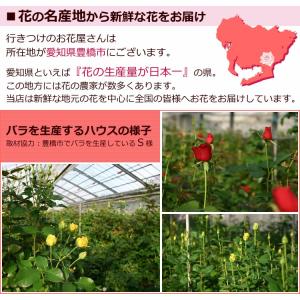 バラ15本と季節の花のフラワーアレンジメント ...の詳細画像4