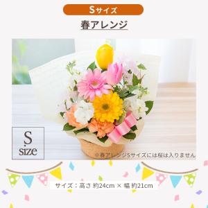 春季限定 春限定 アレンジメント Sサイズ 花...の詳細画像1