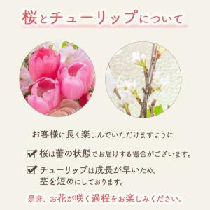春季限定 春限定 アレンジメント Sサイズ 花...の詳細画像4
