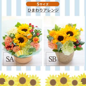 夏季限定 夏限定 アレンジメント Sサイズ 花...の詳細画像2