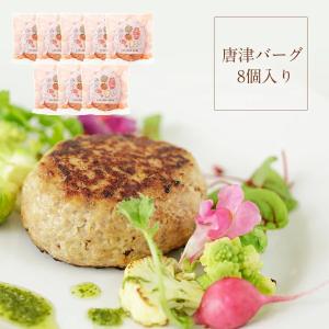 唐津バーグ 8個 プレゼント ギフト 感謝 食べ物 贈り物 ハンバーグ ギフト 送料無料 いきや食品