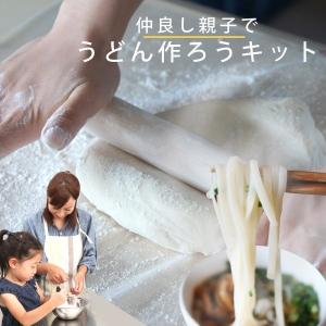 手打ち 手作り うどん  キット 体験 (3~4人前分） 送料無料 お家で楽しもう 贈り物 自宅待機 お家でできる 讃岐うどん 香川 年越し だんらん 日曜の晩ごはん｜ikkadanran