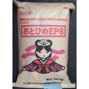 日清丸紅飼料 ライズ2号 200g(200g×1袋） (粒径0.36mm) 沈降性 小分け