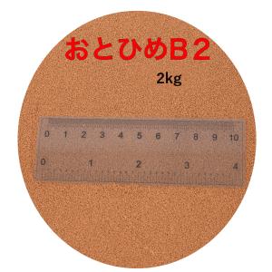 日清丸紅飼料 おとひめB2 2kg  新品未開封 (0.36〜0.62mm) メダカ 金魚 熱帯魚の餌に  日清丸紅飼料