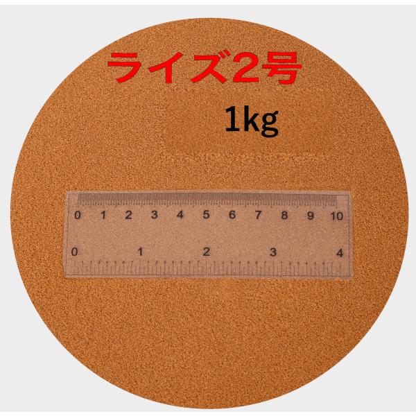 日清丸紅飼料 ライズ2号 1kg(500g×2袋） (粒径0.36mm)  小分け品  メダカ めだ...