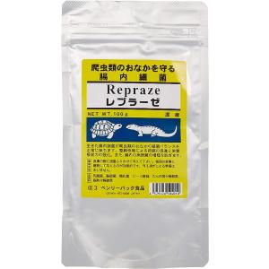 爬虫類用腸内細菌 レプラーゼ100g×1袋  ベンリーパック食品｜一貫堂 大阪府茨木市