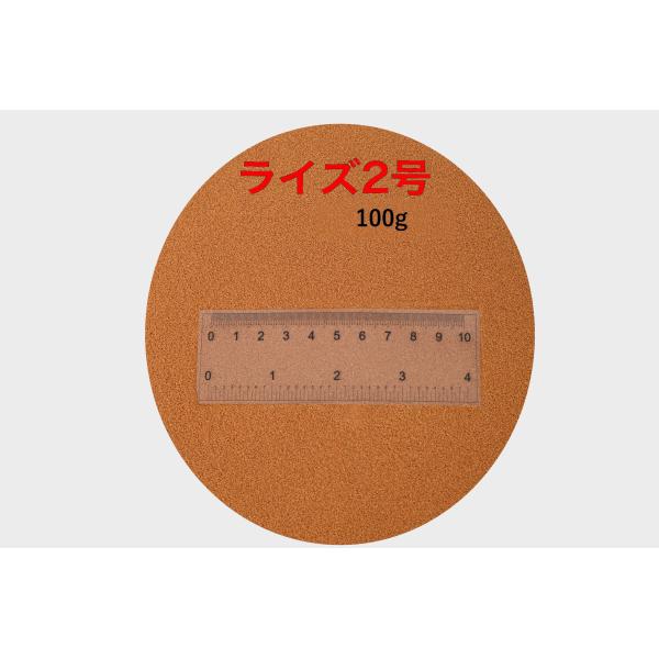 ライズ2号 100g