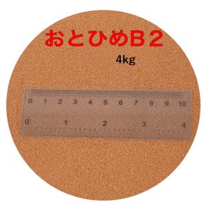 おとひめB2 2kg×2袋(4kg)  (0.36〜0.62mm) メダカ、金魚、熱帯魚の餌に 日清...