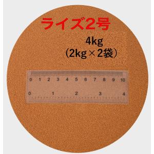 ライズ2号  2kg ×2袋(4kg)   新品未開封 粒径約0.36mm メダカ めだか エサ 餌 おとひめ ハイグロウ リッチ 送料無料｜ikkando-tousen