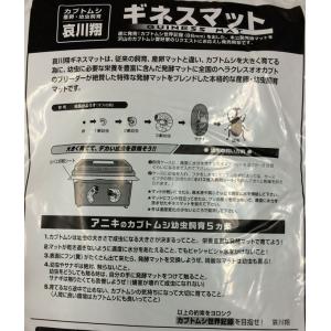 哀川翔監修のカブトマット!「ギネスマット」 5Lの詳細画像1