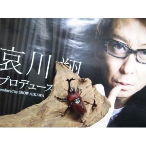 哀川翔監修のカブトマット!「ギネスマット」 5Lの詳細画像2
