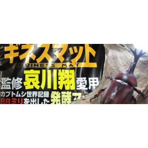 哀川翔監修のカブトマット!「ギネスマット」 5Lの詳細画像3