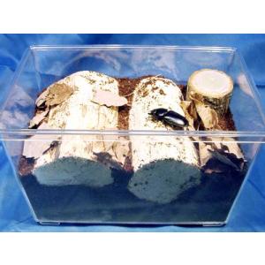 クワガタ産卵マット10Lの詳細画像1