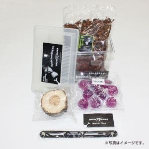 哀川翔の飼育セットの詳細画像2