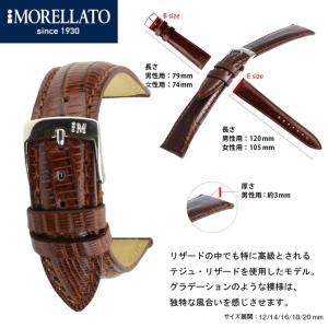 LOUIS VUITTON（ルイ・ヴィトン） タンブール アリゲーター ストラップ