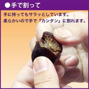 お盆 お中元 お供え お菓子 和菓子 ギフト ...の詳細画像4