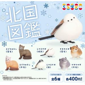 古銭コレクション 日本の大判・小判・金貨 全12種セット