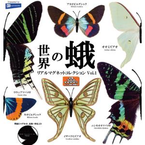 原色図鑑シリーズ 原色擬態昆虫 2種セット : セレンショップ - 通販